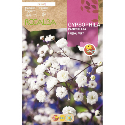 S.BOLBO RO.GAVETA GYPSOPHILA PANICULATA - BRANCO BUGY3275
