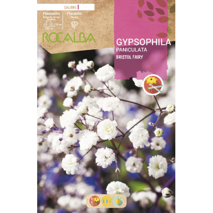 S.BOLBO RO.GAVETA GYPSOPHILA PANICULATA - BRANCO BUGY3275
