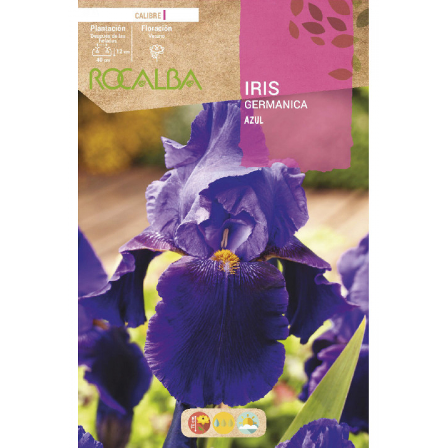 S.BOLBO RO.GAVETA IRIS GERMANICA - AZUL BUIG3140 S.BOLBO RO.GAVETA IRIS GERMANICA - AZUL BUIG3140