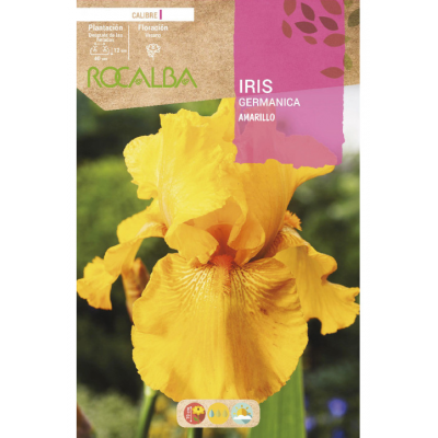 S.BOLBO RO.GAVETA IRIS GERMANICA - AMARELO BUIG3145