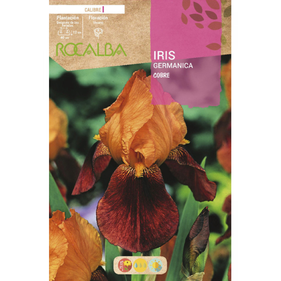 S.BOLBO RO.GAVETA IRIS GERMANICA - COBRE BUIG3150