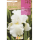 S.BOLBO RO.GAVETA IRIS GERMANICA - BRANCO BUIG3155