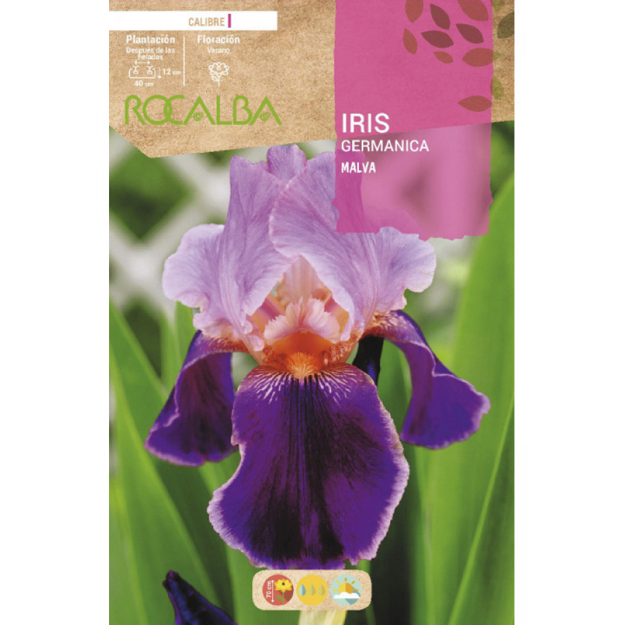S.BOLBO RO.GAVETA IRIS GERMANICA - MALVA BUIG3160