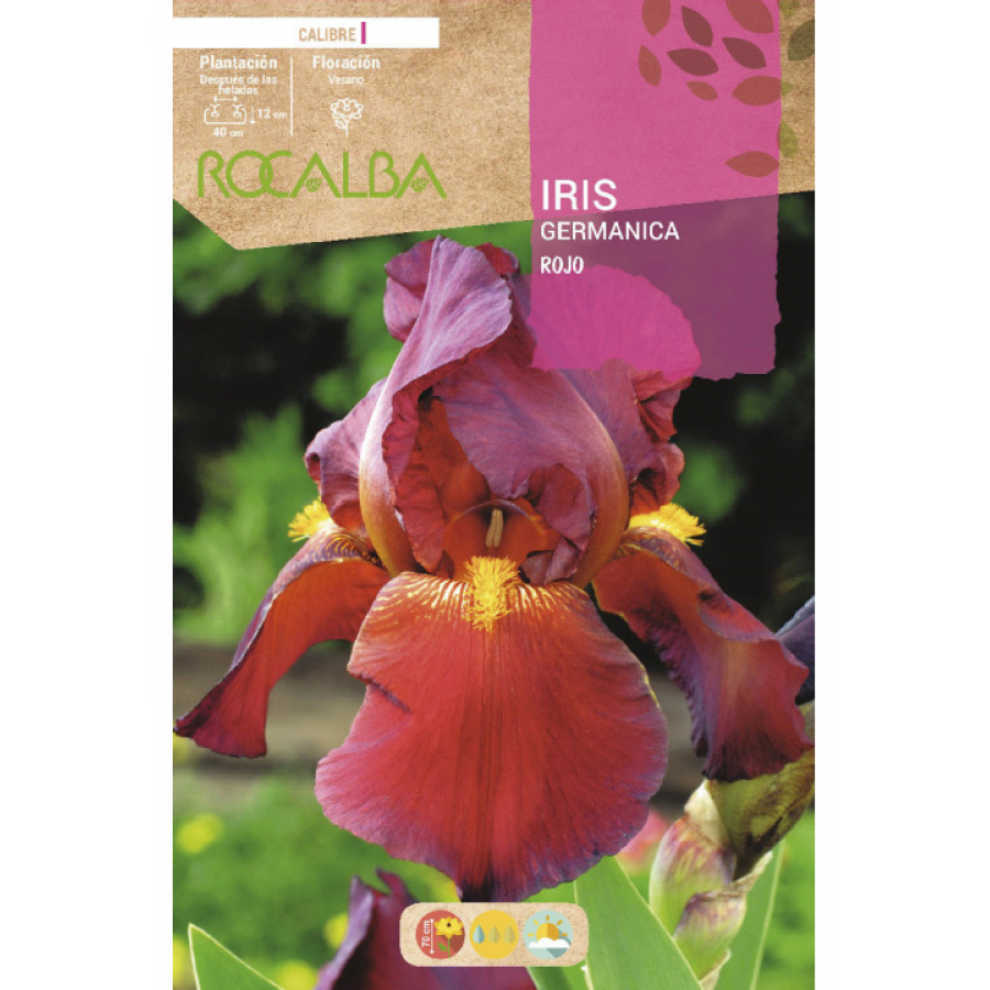 S.BOLBO RO.GAVETA IRIS GERMANICA - ROJO BUIG3165