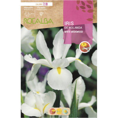 S.BOLBO RO.GAVETA 150 IRIS DA HOLANDA WHITE WEDGWOOD-BUIR1355