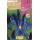 S.BOLBO RO.GAVETA 150 IRIS DA HOLANDA  MISTURA CORES-BUIR1375