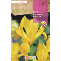 S.BOLBO RO.GAVETA 150 IRIS DA HOLANDA ROYAL YELLOW-BUIR1365 S.BOLBO RO.GAVETA 150 IRIS DA HOLANDA ROYAL YELLOW-BUIR1365