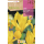 S.BOLBO RO.GAVETA 150 IRIS DA HOLANDA ROYAL YELLOW-BUIR1365
