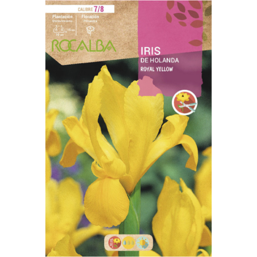S.BOLBO RO.GAVETA 150 IRIS DA HOLANDA ROYAL YELLOW-BUIR1365 S.BOLBO RO.GAVETA 150 IRIS DA HOLANDA ROYAL YELLOW-BUIR1365
