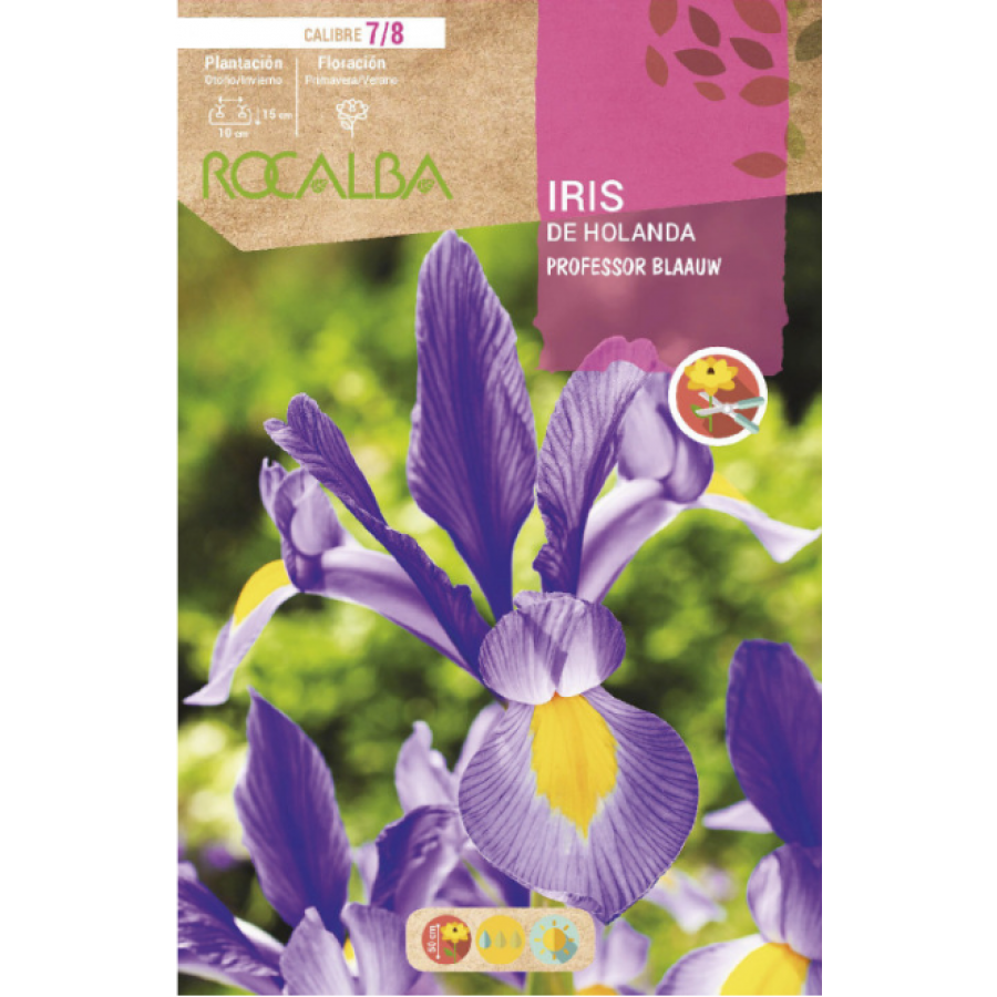 S.BOLBO RO.GAVETA 150 IRIS DA HOLANDA PROF.BLAAUW-BUIR1370
