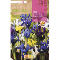 S.BOLBO RO.GAVETA 150 IRIS DA HOLANDA  MISTURA CORES-BUIR1375