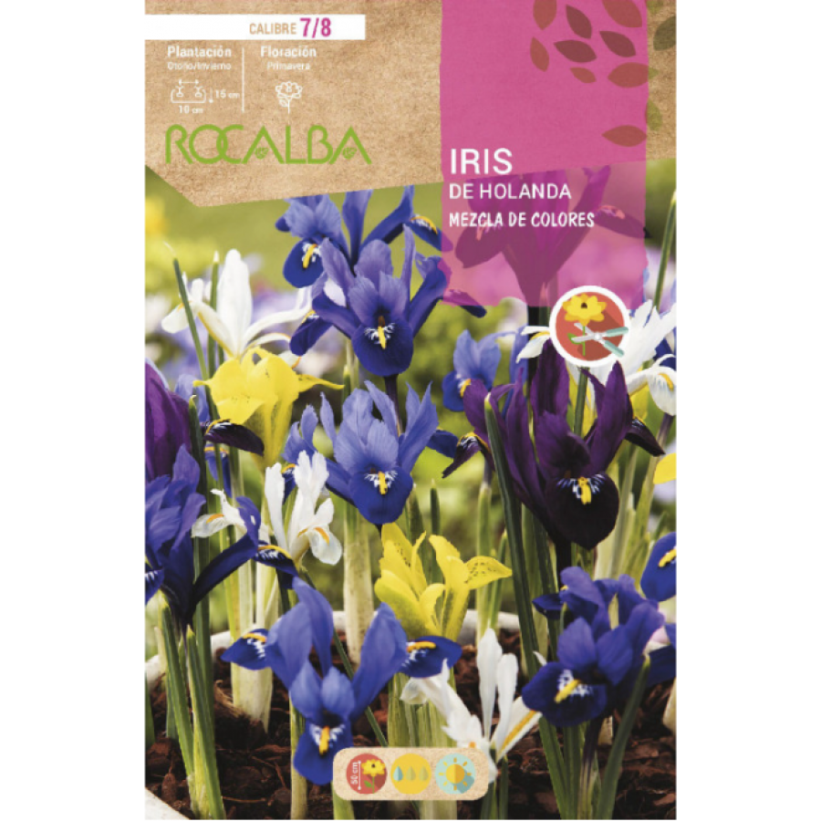 S.BOLBO RO.GAVETA 150 IRIS DA HOLANDA  MISTURA CORES-BUIR1375