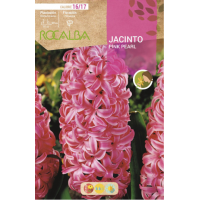 S.BOLBO RO.GAVETA 50 JACINTOS PINK PEARL VERMELHO CLARO-BUJN0600