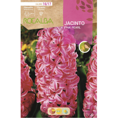 S.BOLBO RO.GAVETA 50 JACINTOS PINK PEARL VERMELHO CLARO-BUJN0600