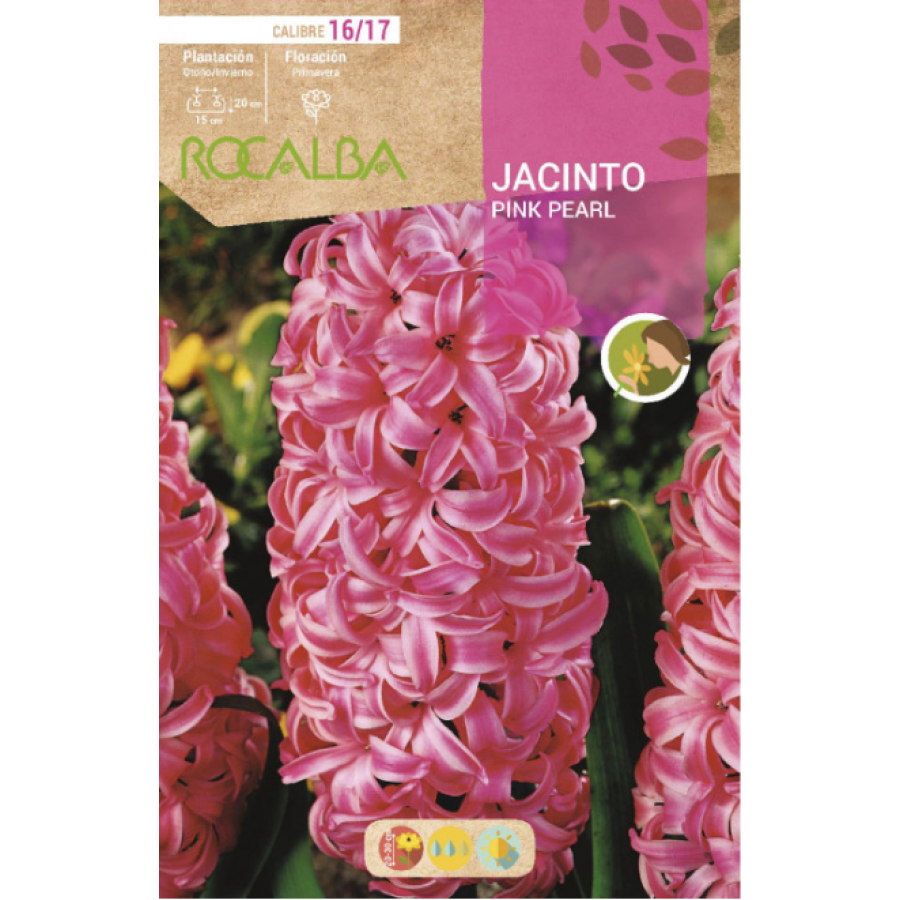 S.BOLBO RO.GAVETA 50 JACINTOS PINK PEARL VERMELHO CLARO-BUJN0600
