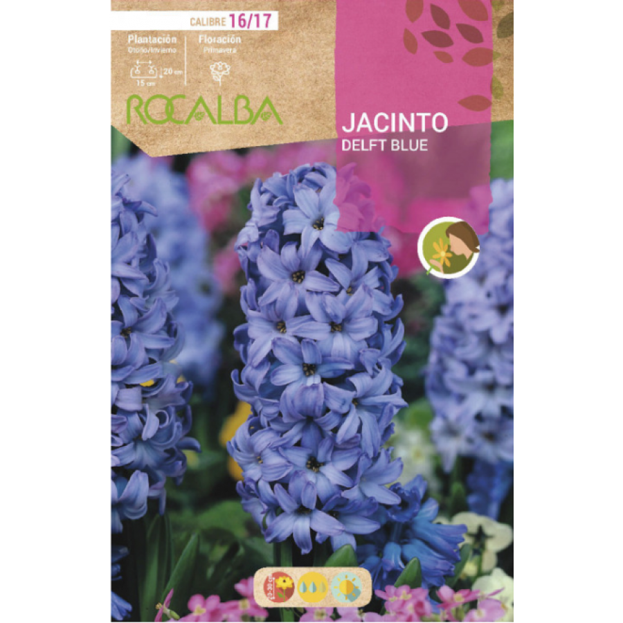 S.BOLBO RO.GAVETA 50 JACINTOS DELF BLUE AZUL INTENSO -BUJN0605