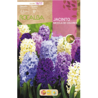 S.BOLBO RO.GAVETA 50 JACINTOS MISTURA DE CORES-BUJN0615 S.BOLBO RO.GAVETA 50 JACINTOS MISTURA DE CORES-BUJN0615