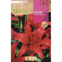 S.BOLBO RO.GAVETA LILIUS MONTE NEGRO -BULI2605