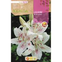S.BOLBO RO.GAVETA LILIUS MUSCADET -BULI2625