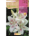 S.BOLBO RO.GAVETA LILIUS MUSCADET -BULI2625