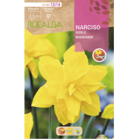 S.BOLBO RO.GAVETA 60 NARCISOS DOBRADO DOBLE G.DUCAT -BUND0710 S.BOLBO RO.GAVETA 60 NARCISOS DOBRADO DOBLE G.DUCAT -BUND0710