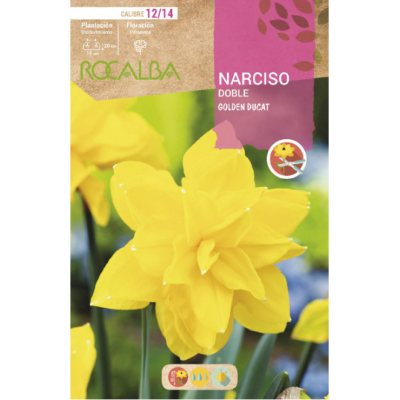 S.BOLBO RO.GAVETA 60 NARCISOS DOBRADO DOBLE G.DUCAT -BUND0710