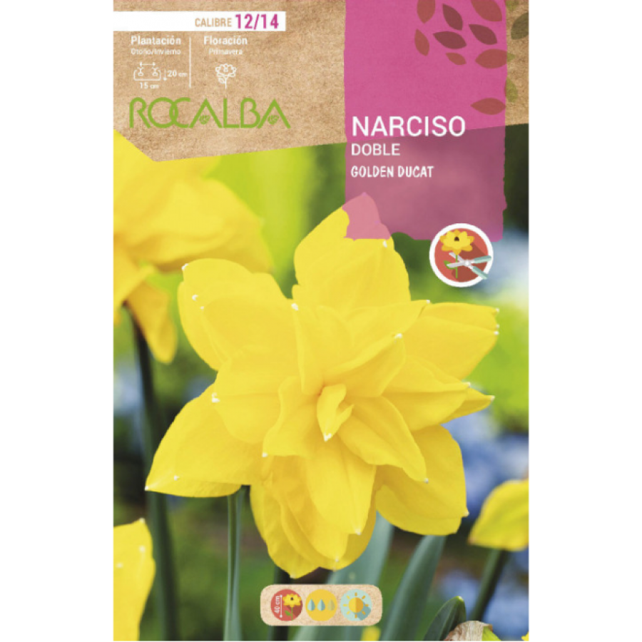S.BOLBO RO.GAVETA 60 NARCISOS DOBRADO DOBLE G.DUCAT -BUND0710 S.BOLBO RO.GAVETA 60 NARCISOS DOBRADO DOBLE G.DUCAT -BUND0710