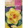 S.BOLBO RO.GAVETA 60 NARCISOS DOBRADOS TAHITI -BUND0720