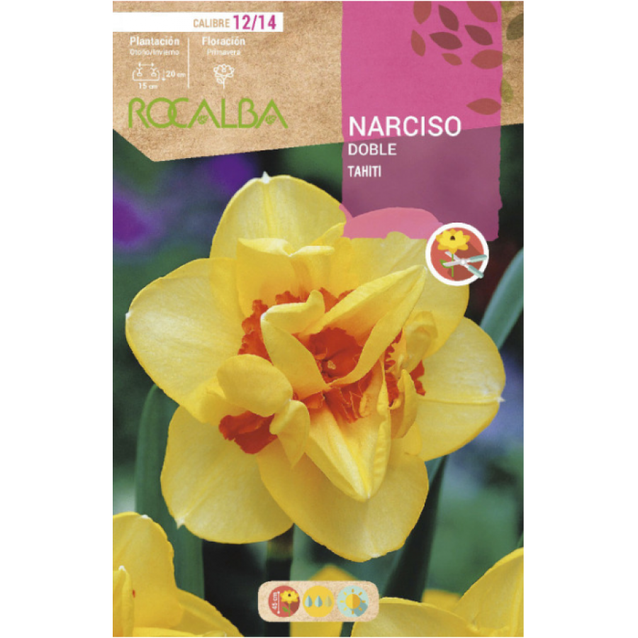 S.BOLBO RO.GAVETA 60 NARCISOS DOBRADOS TAHITI -BUND0720 S.BOLBO RO.GAVETA 60 NARCISOS DOBRADOS TAHITI -BUND0720
