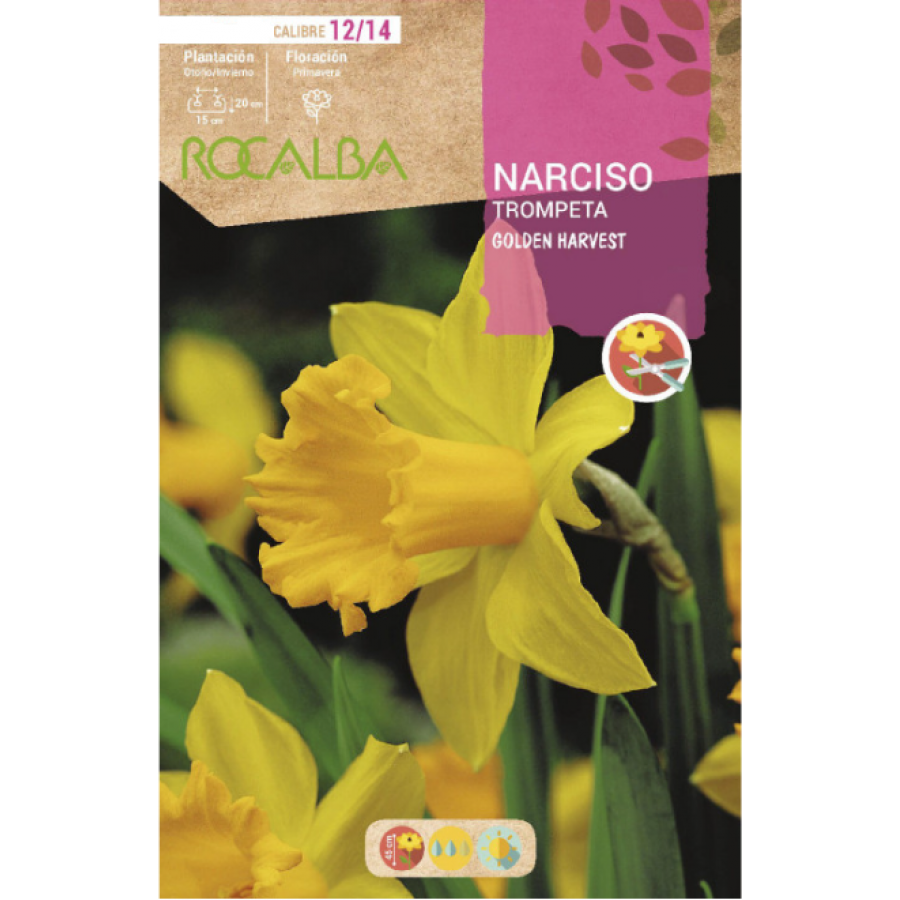 S.BOLBO RO.GAVETA 60 NARCISOS TROMPETA GOLDEN HARVEST -BUNT0755 S.BOLBO RO.GAVETA 60 NARCISOS TROMPETA GOLDEN HARVEST -BUNT0755