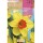 S.BOLBO RO.GAVETA 60 NARCISOS TROMPETA HOLLYWOO AMARELO CENTRO LARANJA<br>-BUNT0780