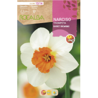 S.BOLBO RO.GAVETA 60 NARCISOS TROMPETA BARRET BROWNING -BUNT0810 S.BOLBO RO.GAVETA 60 NARCISOS TROMPETA BARRET BROWNING -BUNT0810