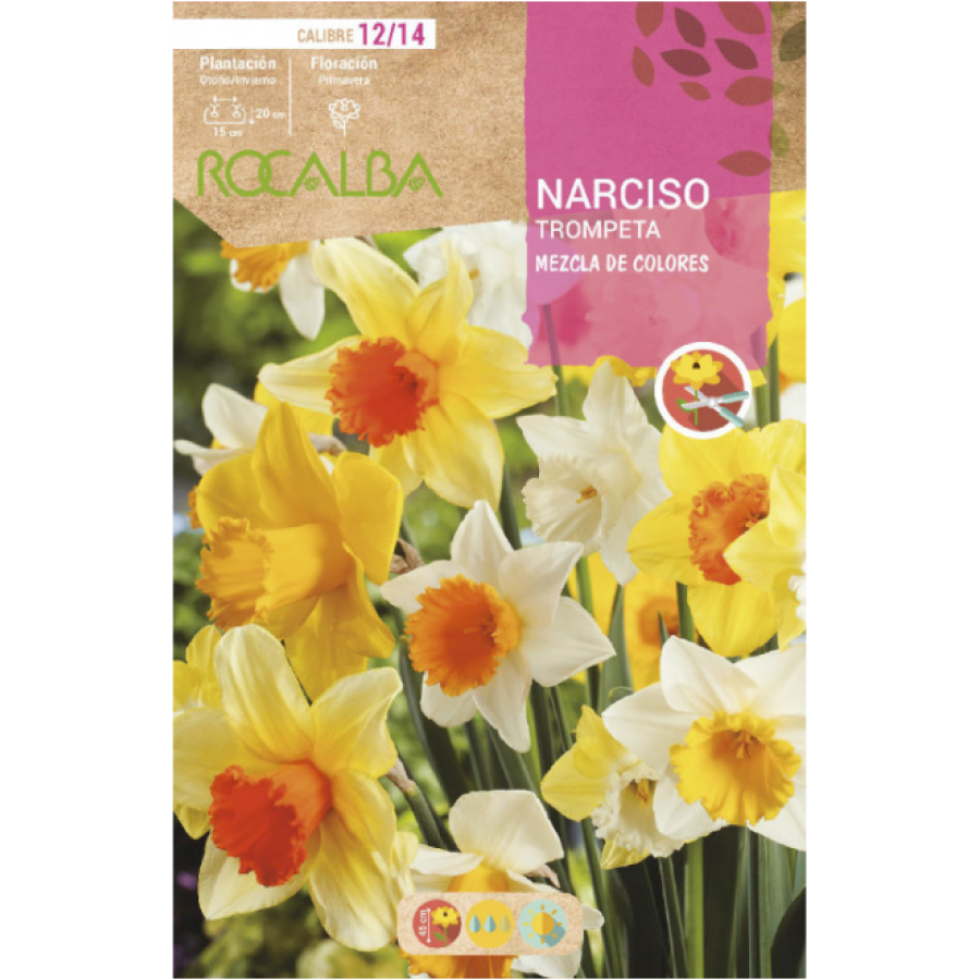 S.BOLBO RO.GAVETA 60 NARCISOS TROMPETA  MISTURADE CORE  -BUNT0815