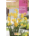 S.BOLBO RO.GAVETA 60 NARCISOS TAZZETA GRAND SOLEIL DOR-BUNZ0855