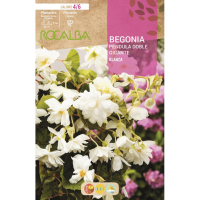 S.BOLBO RO.GAVETA BEGONIA PEND. GIGANTE - BRANCO BUPG2780