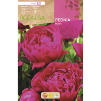 S.BOLBO RO.GAVETA PEONIAS - ROSA BUPN3110 S.BOLBO RO.GAVETA PEONIAS - ROSA BUPN3110