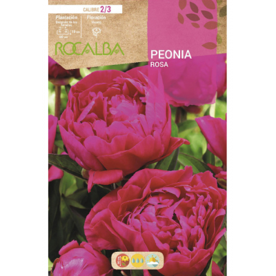S.BOLBO RO.GAVETA PEONIAS - ROSA BUPN3110