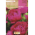 S.BOLBO RO.GAVETA PEONIAS - ROSA BUPN3110