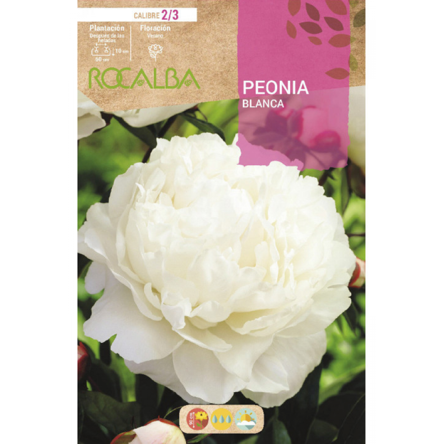 S.BOLBO RO.GAVETA PEONIAS - BRANCO BUPN3115 S.BOLBO RO.GAVETA PEONIAS - BRANCO BUPN3115