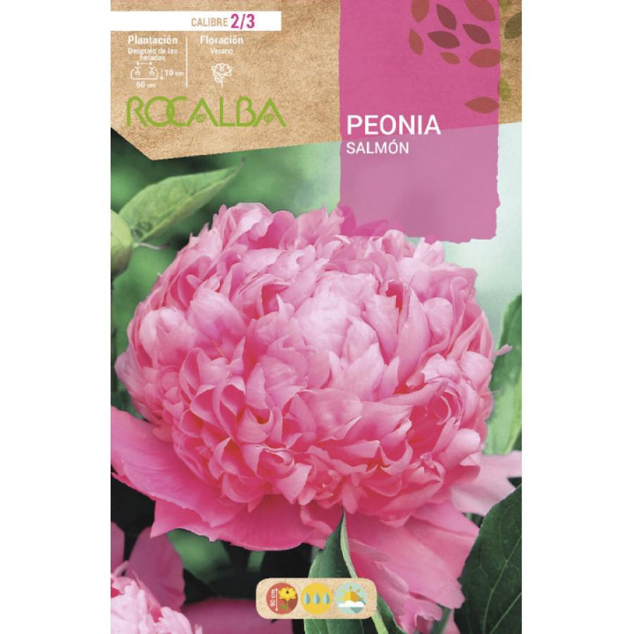 S.BOLBO RO.GAVETA PEONIAS - SALMAO BUPN3120 S.BOLBO RO.GAVETA PEONIAS - SALMAO BUPN3120