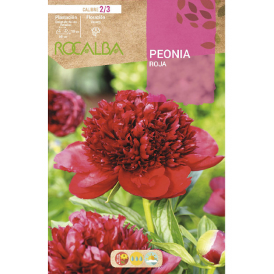S.BOLBO RO.GAVETA PEONIAS - ROJO BUPN3125
