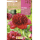 S.BOLBO RO.GAVETA PEONIAS - ROJO BUPN3125