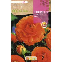 S.BOLBO RO.GAVETA 200 RANUNCULO FRANCESILLA LARANJA-BURF1205
