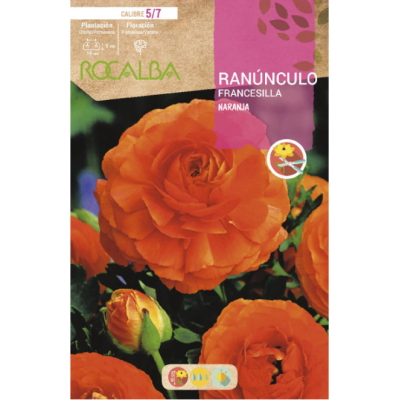 S.BOLBO RO.GAVETA 200 RANUNCULO FRANCESILLA LARANJA-BURF1205