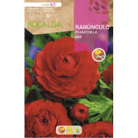 S.BOLBO RO.GAVETA 200 RANUNCULO FRANCESILLA VERMELHO-BURF1225
