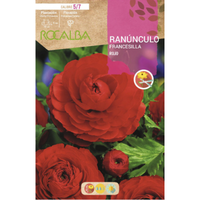 S.BOLBO RO.GAVETA 200 RANUNCULO FRANCESILLA VERMELHO-BURF1225