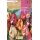 S.BOLBO RO.GAVETA 100 TULIPAS REMBRANDT  MISTURA DE CORES -BUTB0520