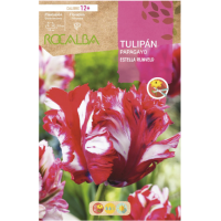 S.BOLBO RO.GAVETA 100 TULIPAS PAPAGAIO ESTELLA RIJNVELD -BUTG0455