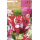 S.BOLBO RO.GAVETA 100 TULIPAS PAPAGAIO ESTELLA RIJNVELD -BUTG0455