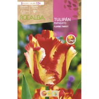 S.BOLBO RO.GAVETA 100 TULIPAS PAPAGAIO SFLAMING PARRO-BUTG0470T S.BOLBO RO.GAVETA 100 TULIPAS PAPAGAIO SFLAMING PARRO-BUTG0470T